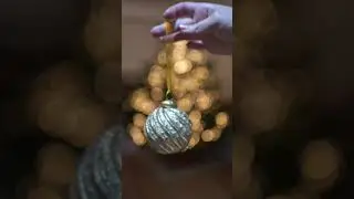 Decorating the Christmas Tree in 15 seconds! 