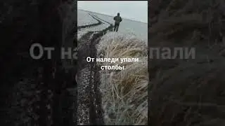 Ростовская обл. ледяные дожди.