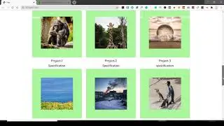 How to Create a Website | NGO Website Design | HTML 5 | CSS 3 | Bootstrap | Website Development