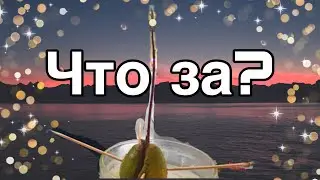 Vlog/ Что за влог такой? / 09.09.24❤️