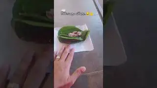 විටෙක ආදරේ 😀
