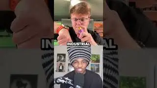 Most Devious MSCHF Products Pt.3