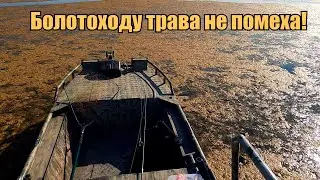 В поисках щуки / Лиман Чумяный