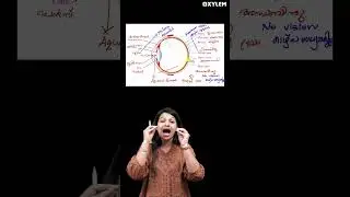 4 Mark എളുപ്പത്തിൽ നേടാം...