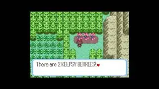 How to get Kelpsy Berry in Pokemon Sapphire