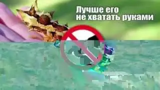 Страшные животные которых не стоит бояться
