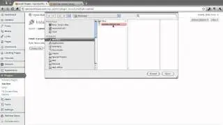 How To Install And Activate OptinExitBlaze
