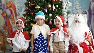 Дельфинята. Новый 2024 год.