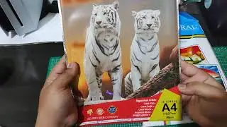 Printer Epson L18050, Cetak di Kertas 260 GSM. Apakah Nyangkut?