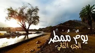 يومٌ مُمطِر | الجزء الثاني