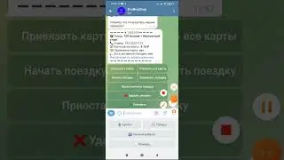 Как кататься на самокатах юрент за 45₽