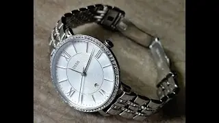 Fossil Jacqueline