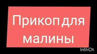 Прикоп для малины