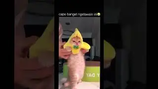 Comelnya...