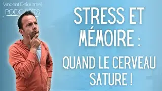 STRESS et MÉMOIRE : quand le cerveau sature !