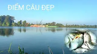 Ideal fishing spot for a variety of fish