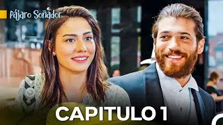 Pájaro Soñador Capítulo 1 (Doblado En Español)