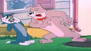 Tom y jerry en Espanol_Baby Dog_Dibujos animados para ninos