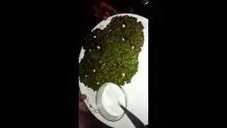 Thalipeeth : थालीपीठ :  Kothimbir Wadi - कोथिंबीर वडी