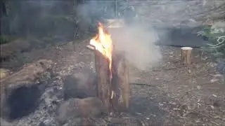 Поход в лес на 1 ночь
