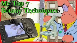 My Top 7 Botany Techniques 🌱