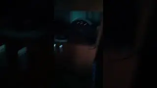 14 августа 2024 г.