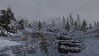 Skyrim SE beta test с модами