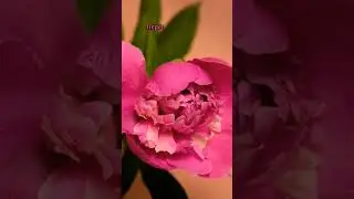 #нумерологпролюбовь