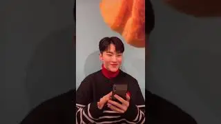 [세븐틴/tiger] Hi hamster? Mmm…out