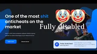 Polar full disabler moment *RISE CLIENT*