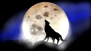 How to easy draw a wolf under the full moon step by step