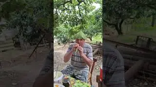 ШАМАН В ЛЁТНОЙ СТОЛОВОЙ #отпуск #абхазия #море #горы #чача #вино