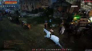Black Desert - Хейтеры и Лайфхаки