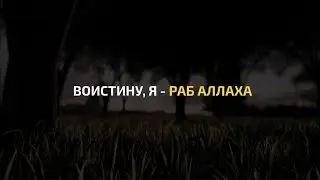 Abu Aws | Сура 19 Марьям | Красивое чтение Корана