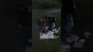 Охота за русалкой😁