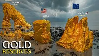 Real Size Comparison: World's Largest Gold Reserves 2024