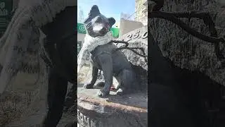 Звёздочка.