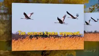 Осень золотая  Поёт Валерий Сёмин. Муз. Валерий Сёмин, сл. Александр Зиборов.