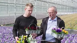 Delta Pro at grower Wouters | English