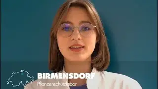 International Day of Women and Girls in Science 2023: Women and Girls at WSL Birmensdorf