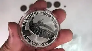 Are You a Gold addict? Silver stacking and GoldAddicts GAW win. Bird of Paradise