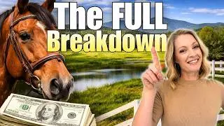 How Much It Costs to Own a Horse in Greenville SC