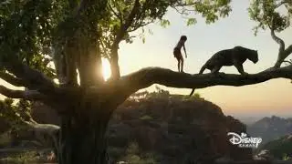 книга джунглей на канале disney