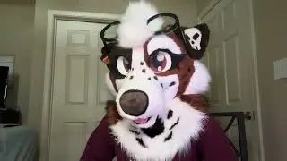 My experience at Stratosfur 2023 furry convention