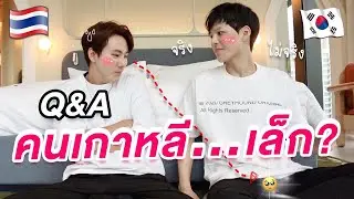 Q&A 18+ ผู้ชายเกาหลีเล็กมาก? ชอบทำร้ายร่างกาย? อยากได้อปป้าในผับต้องลูบหัว!? 🇰🇷