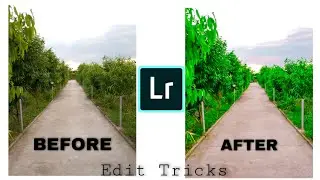 How To Edit Color Pop In Lightroom | Mobile Tutorial |