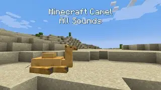 Minecraft: ALL Camel Sounds