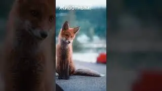 Это идиально😖✨🌿