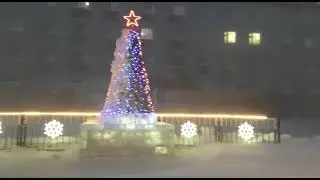 Пурга сносит все, кроме елочки