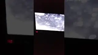 Село.Яровое половинский район курганская обл